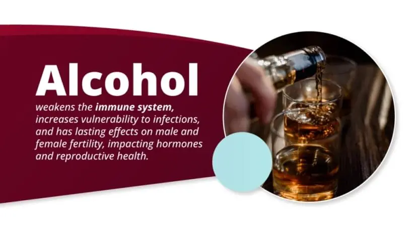 Alcohols Impact Unveiling The Primary Effects On Your Body - 6d1l1fd